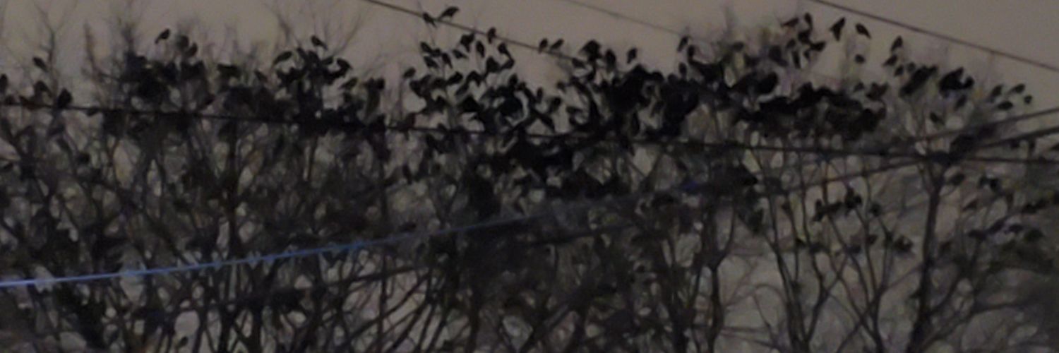 thorax stormcrow banner