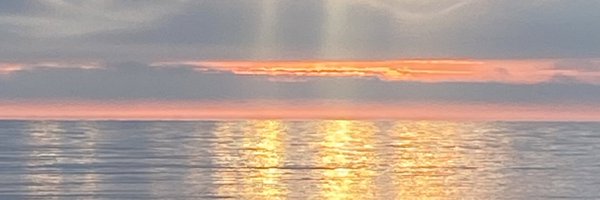 inesetohva Profile Banner