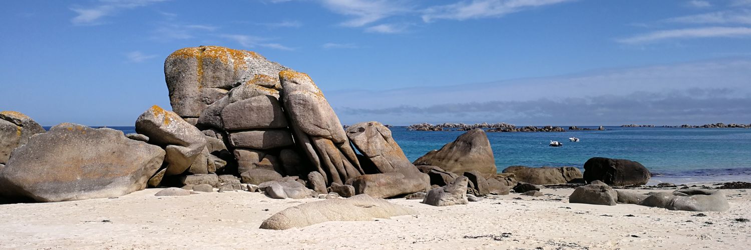 Charlotte Grison banner