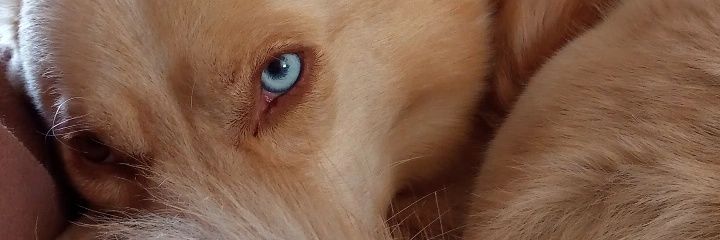SoolSuareez's profile banner image