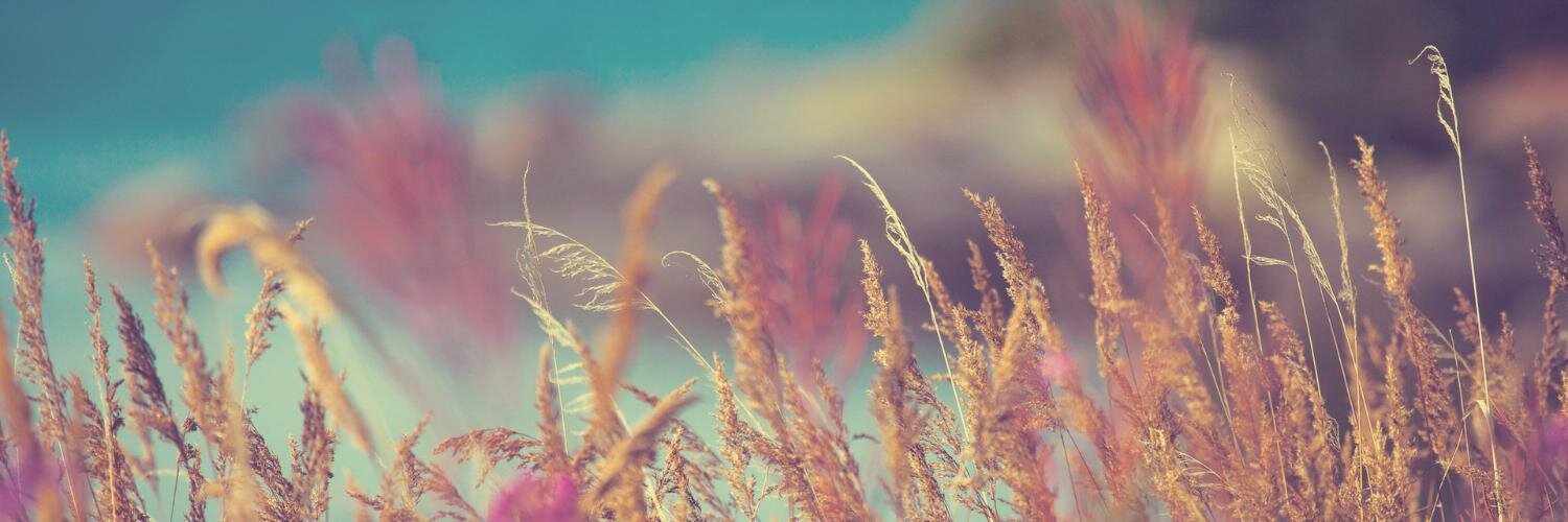 AlexGoussu's profile banner image