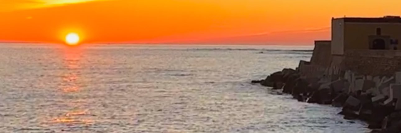 HostElaine's profile banner image
