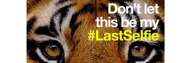 World Wild Life banner