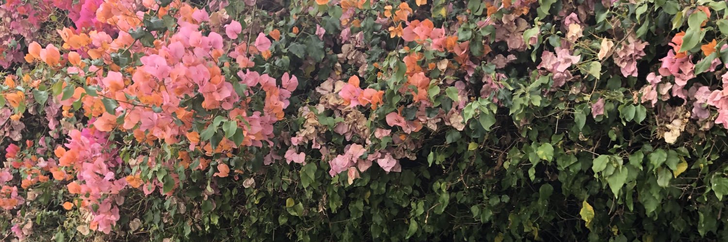 LANYHouston's profile banner image