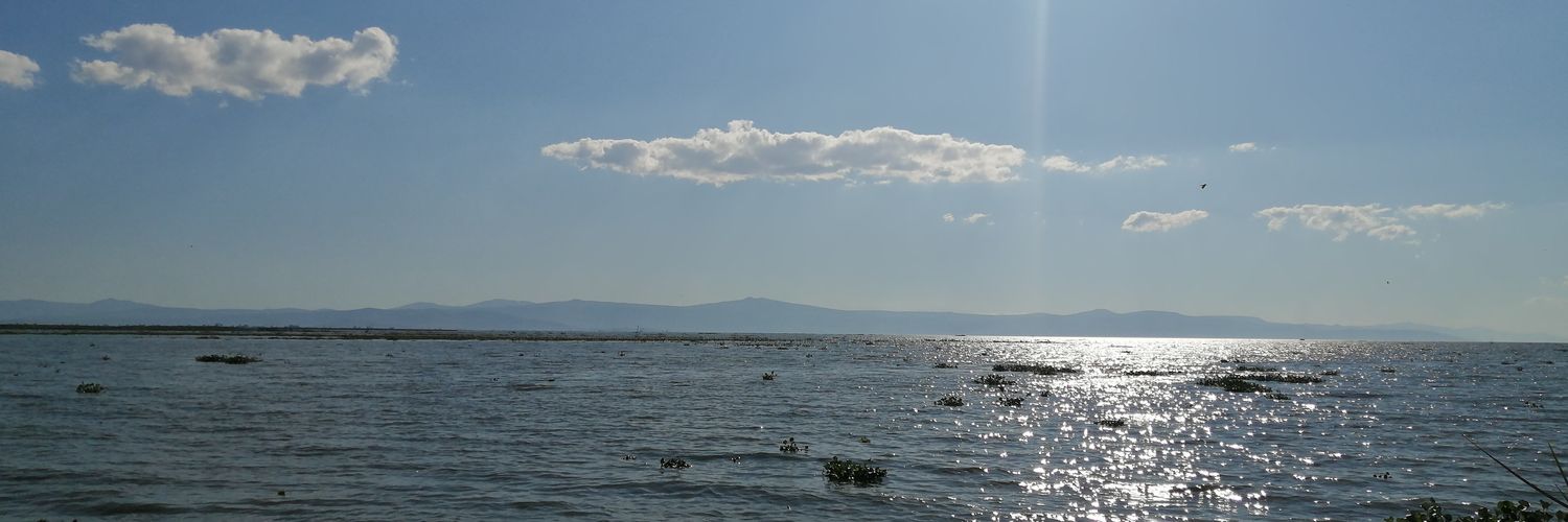damaris0831's profile banner image