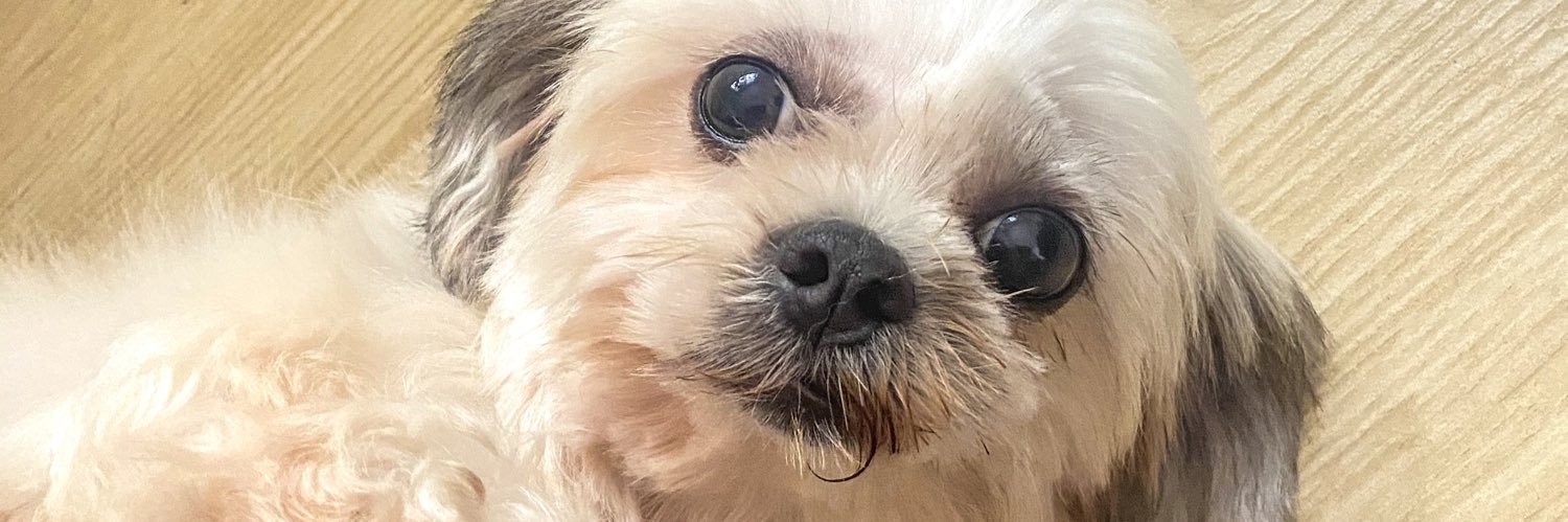 SheisRamos's profile banner image