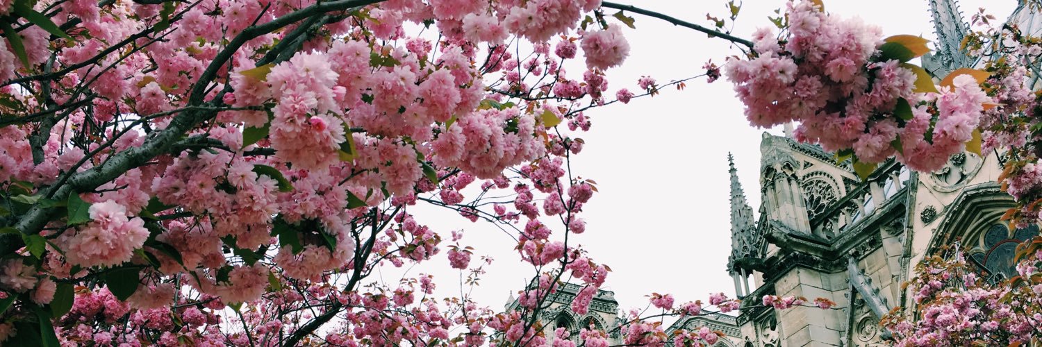 malay_grigoriy's profile banner image