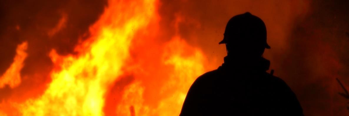 Brandfacket's profile banner image