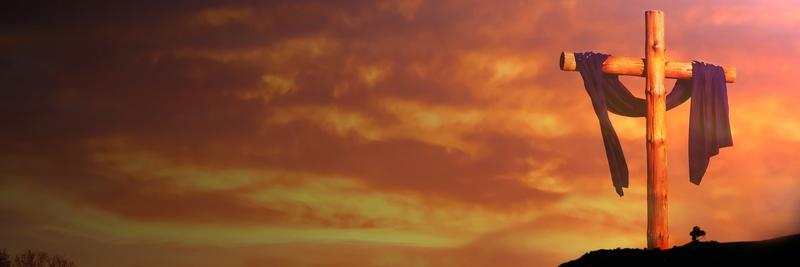 borxes007's profile banner image