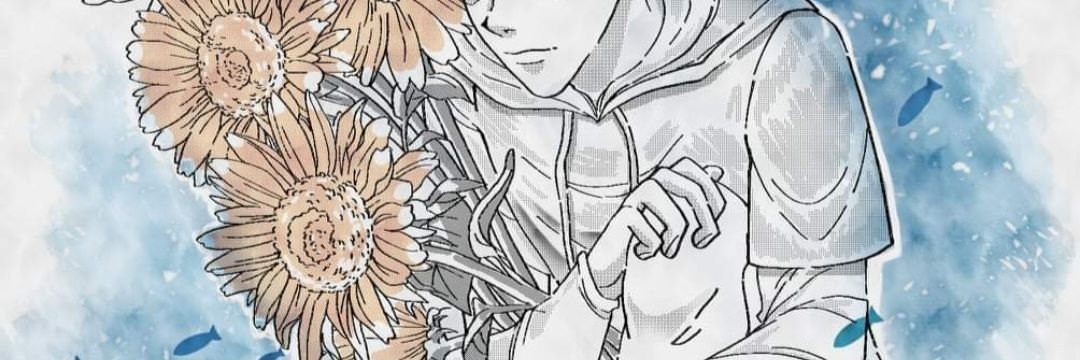 Chẻ banner