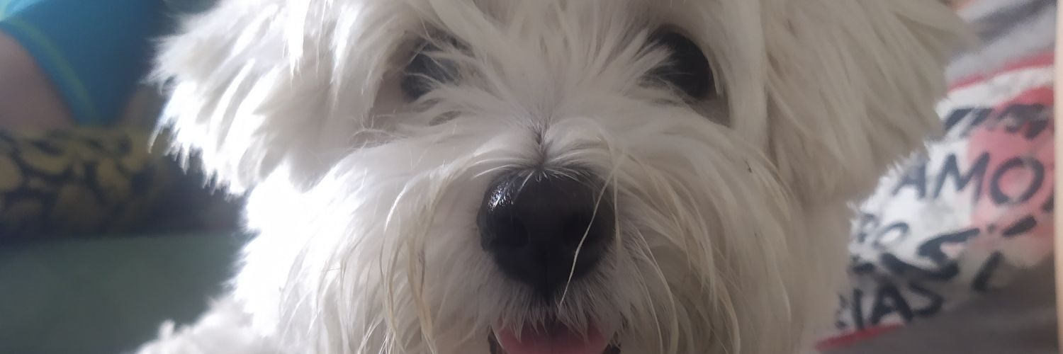 FatiVallejo's profile banner image