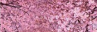 _itshilaryyy's profile banner image