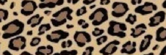 MarianFontela's profile banner image