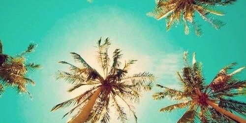 LisaMook's profile banner image