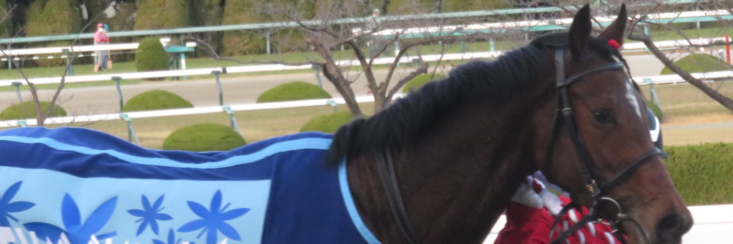 skcore8's profile banner image