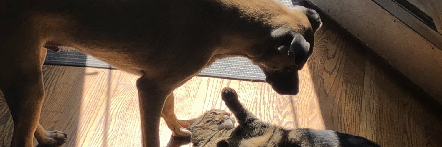 chuckDzL's profile banner image