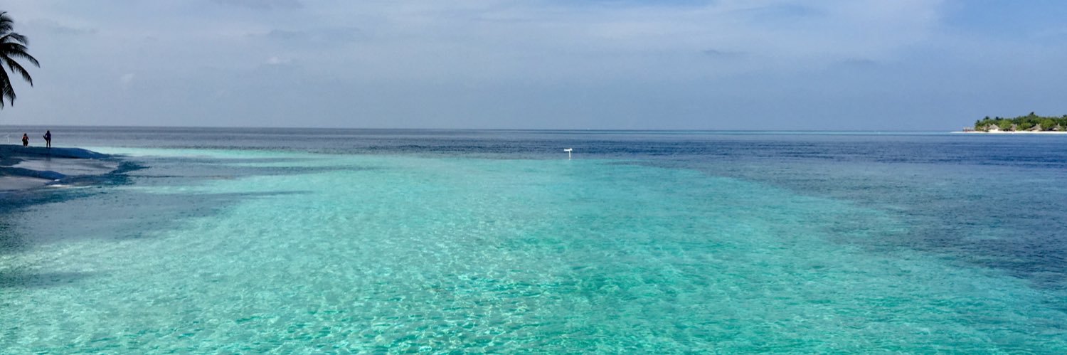 Jennifer Musthafa banner