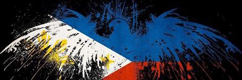 NuclearFusion banner