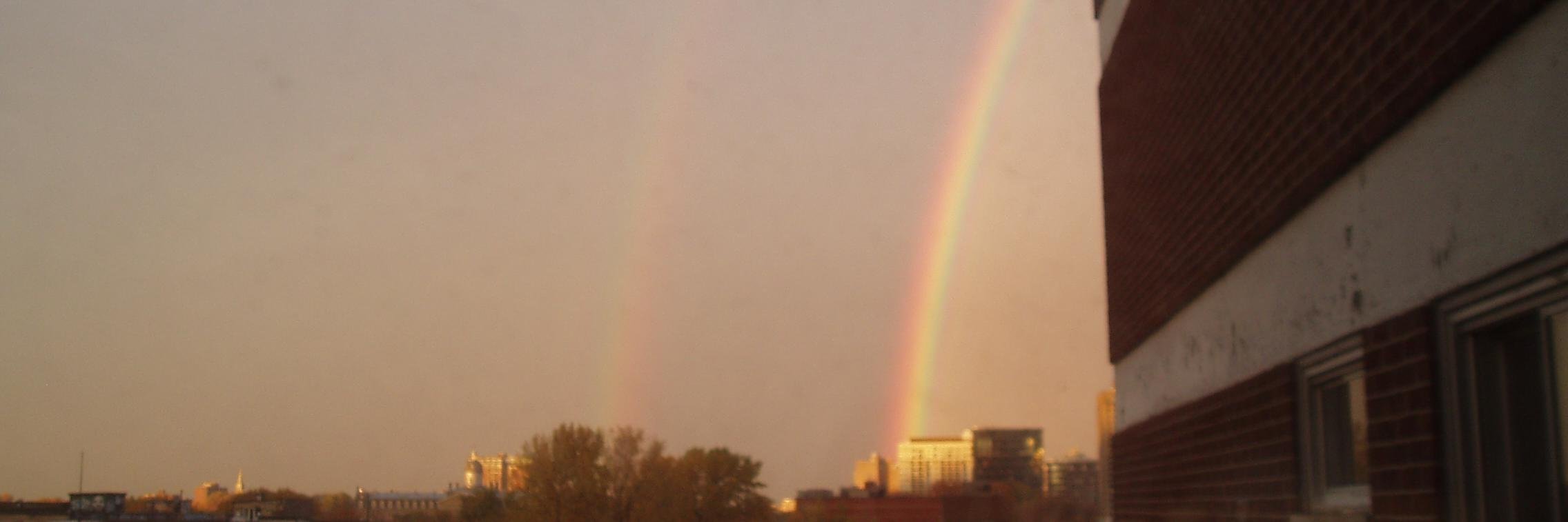 _siteseer's profile banner image