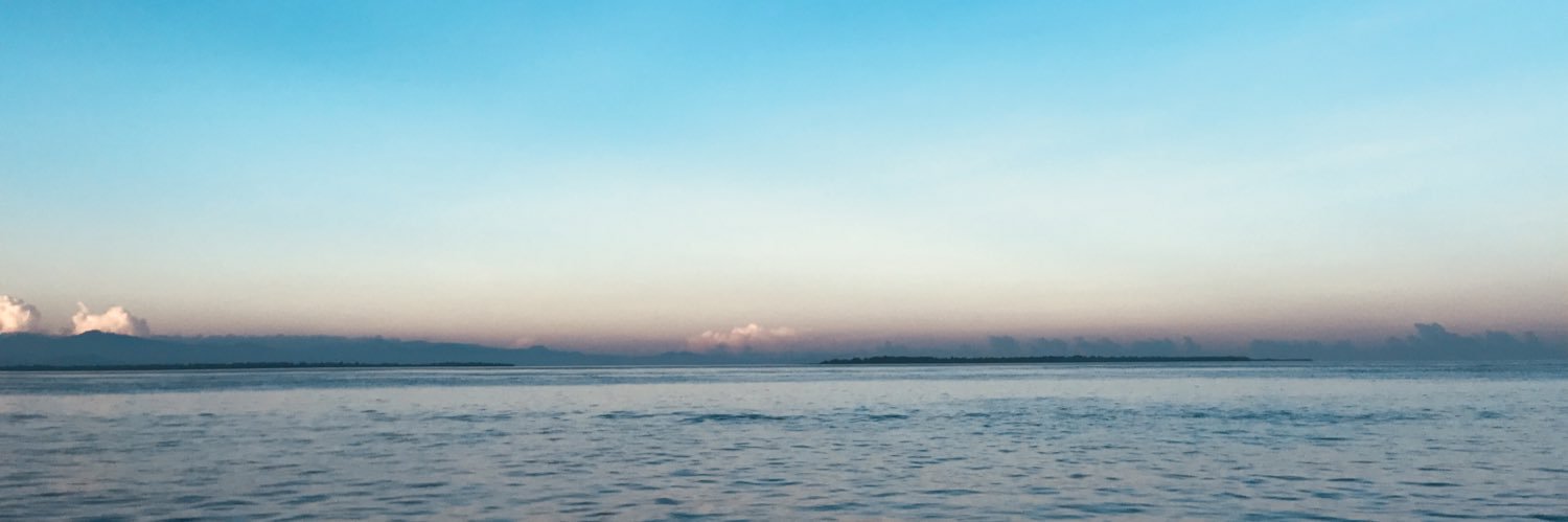 dindie99's profile banner image