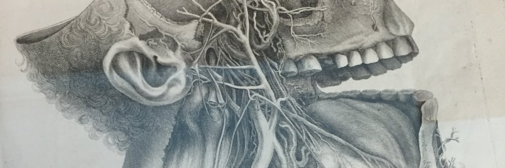 pich_valdeperpi's profile banner image