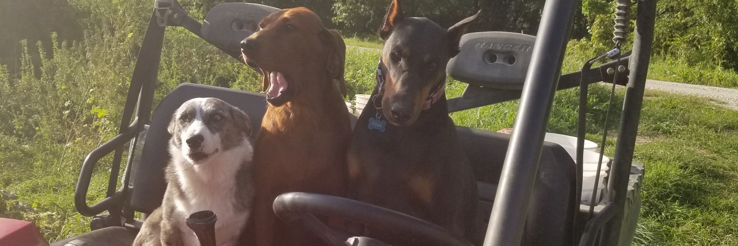 jjsherer's profile banner image