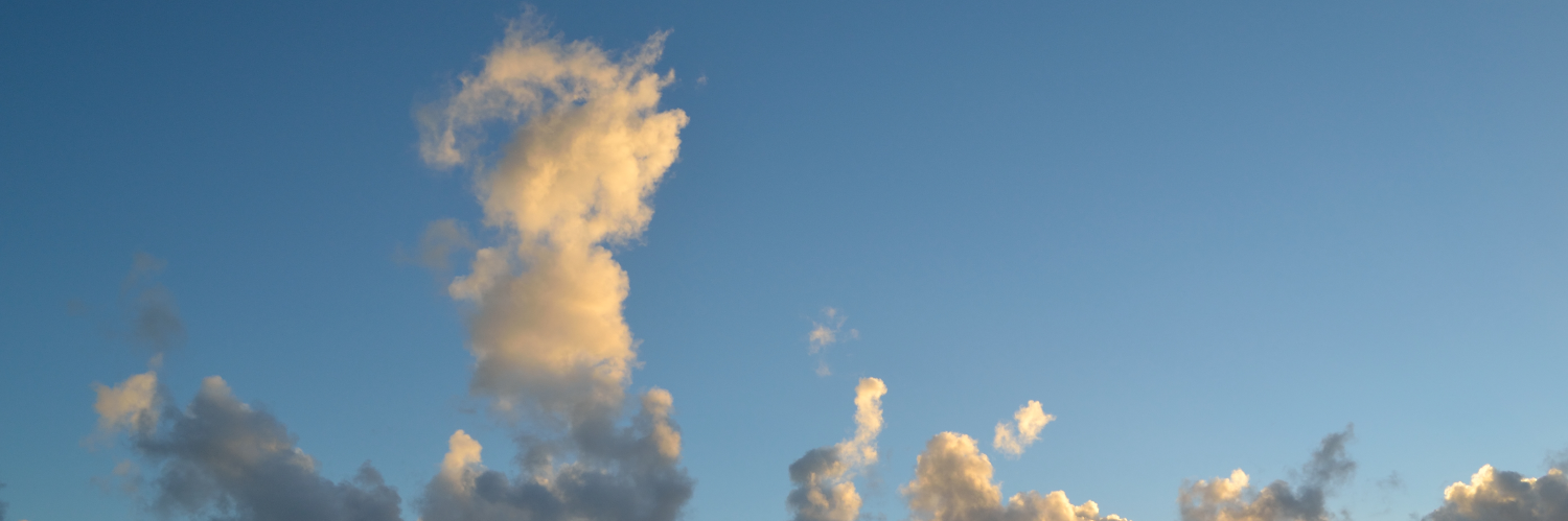 mahalo's profile banner image