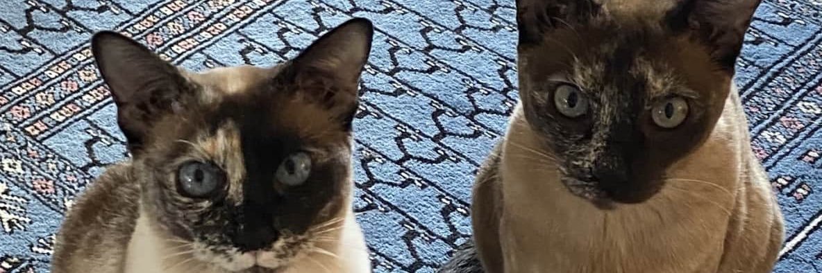 wrightideas4u's profile banner image