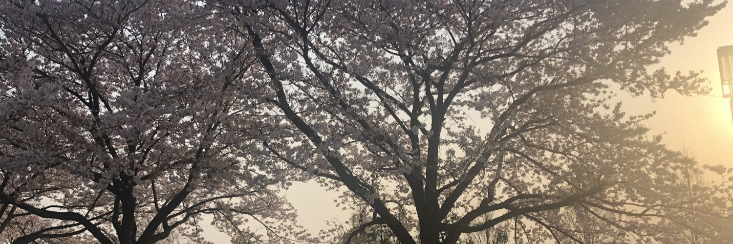 chii7188's profile banner image