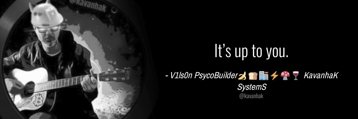 V1ls0n KavanhaK🍌🍞🏬⚡🍄🍷's banner