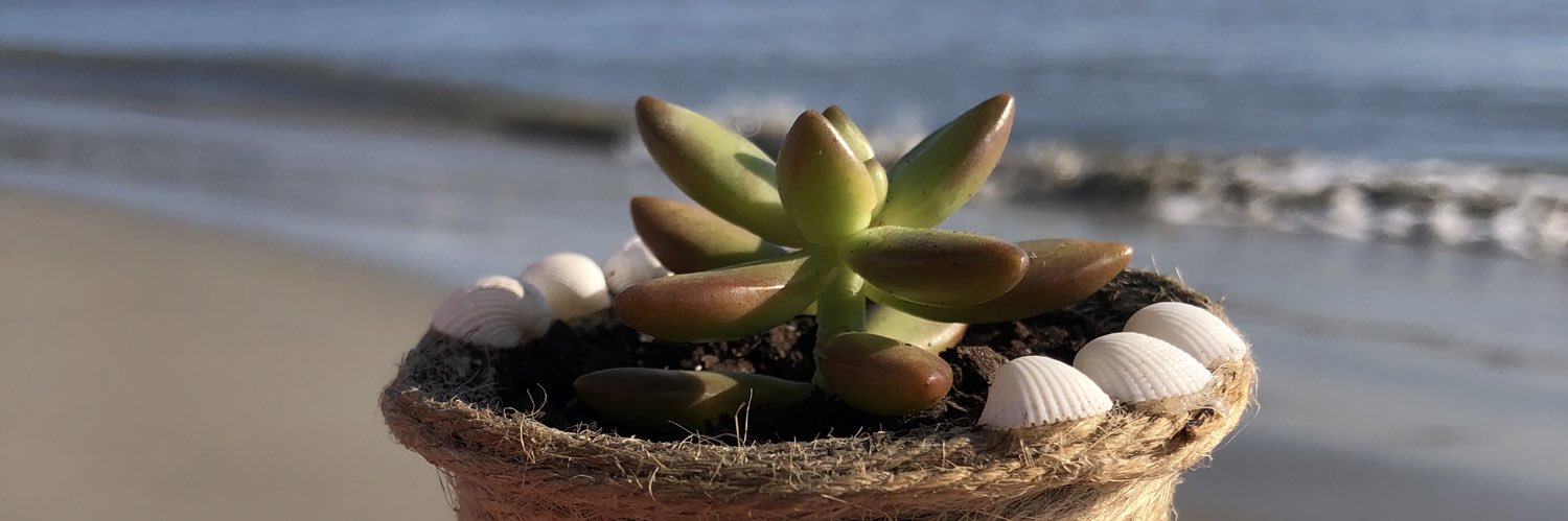 ribeirotmari's profile banner image