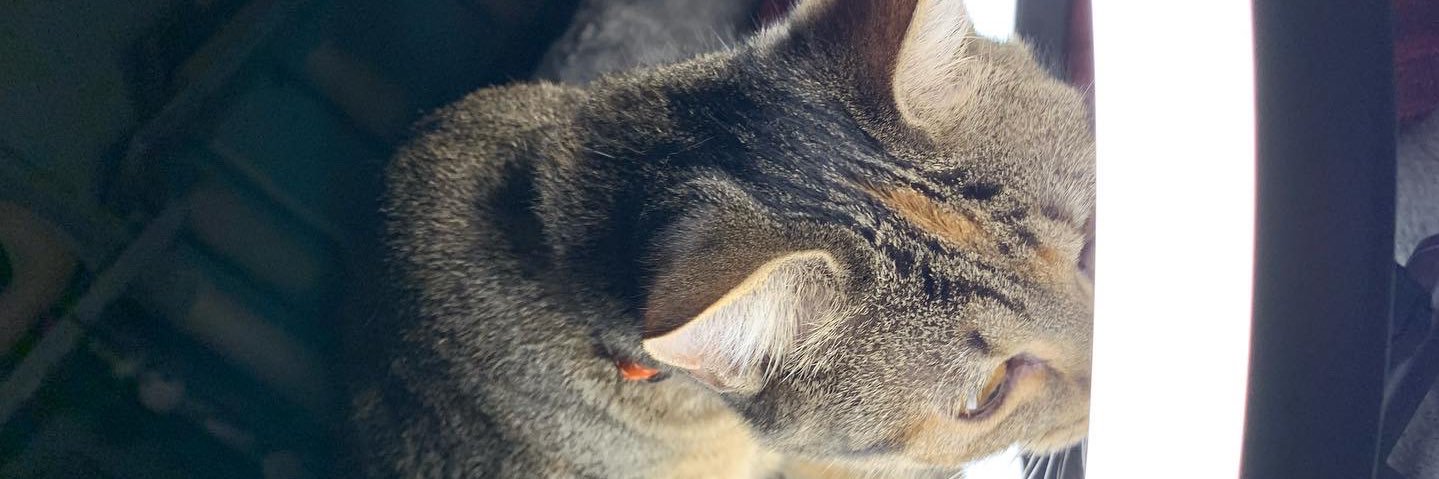 Morganfts's profile banner image
