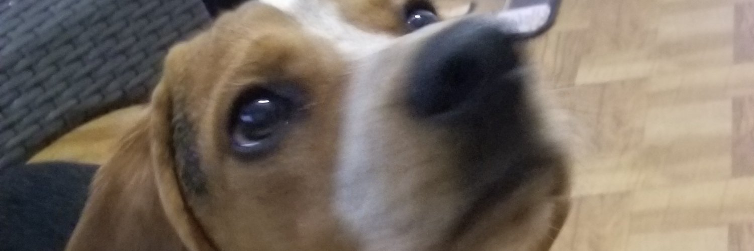 davopo's profile banner image