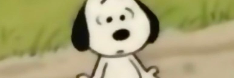 irppass's profile banner image