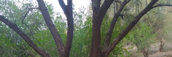 simo_m96 Profile Banner