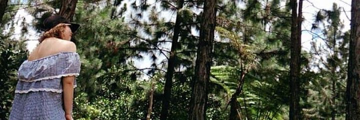 Tutille12's profile banner image