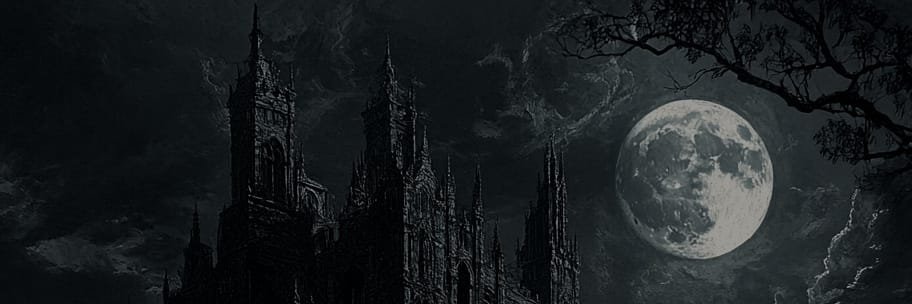 Zyklo_'s profile banner image