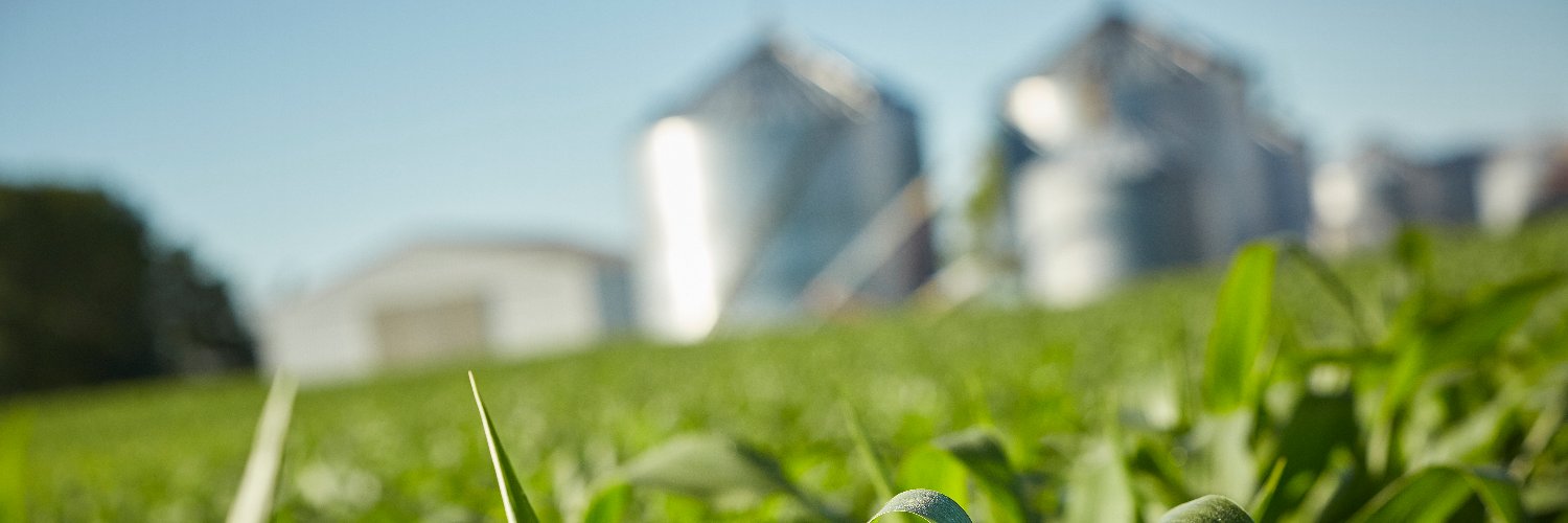 MN Corn Growers banner