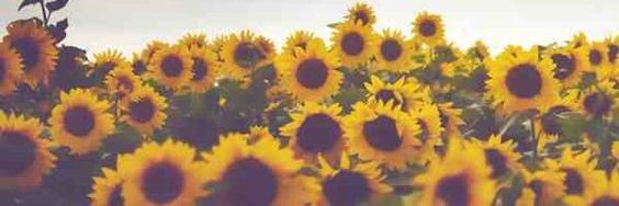 Dr. Sharla Berry banner