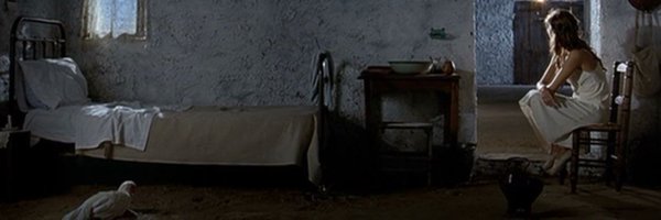 laugimeneznoble Profile Banner