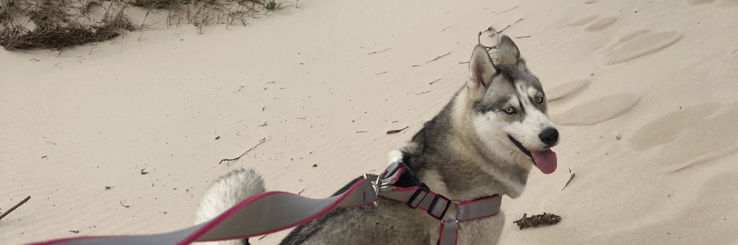 delannirodri's profile banner image
