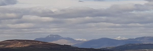Mamahulk Profile Banner