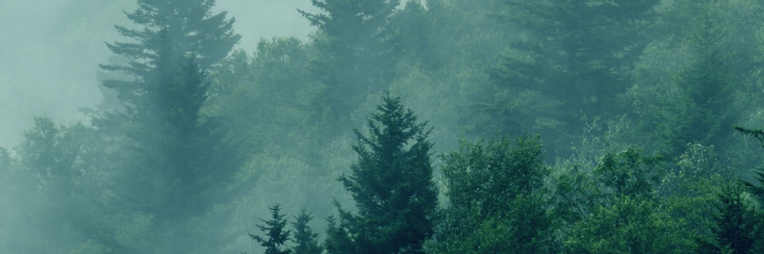 llan0's profile banner image