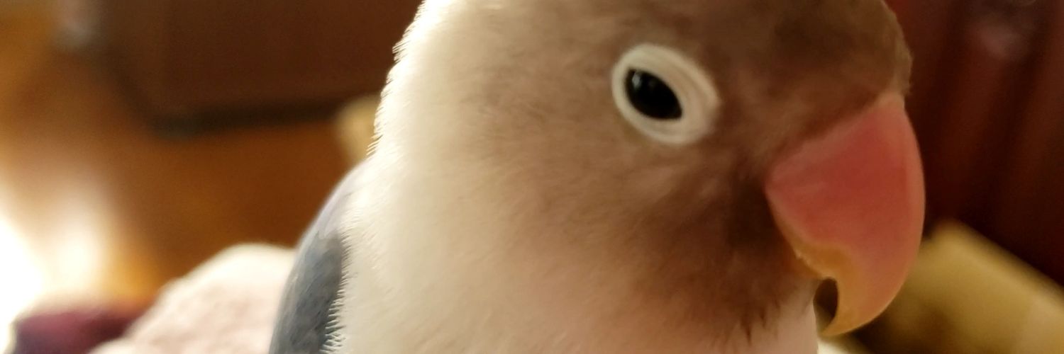 hyphen8683's profile banner image