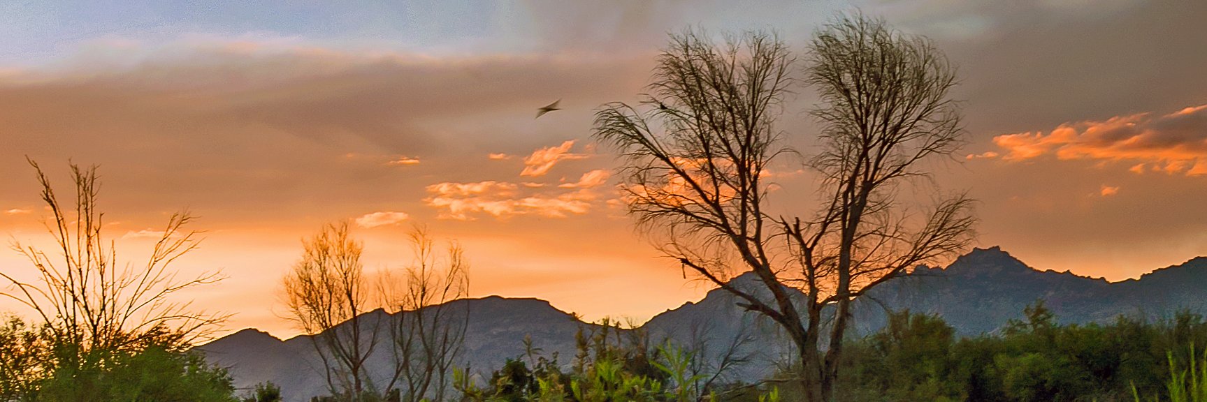 CenterForRuralHealth banner