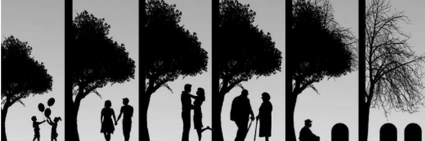 _dad3kids Profile Banner