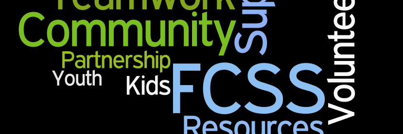 lcountyfcss's profile banner image