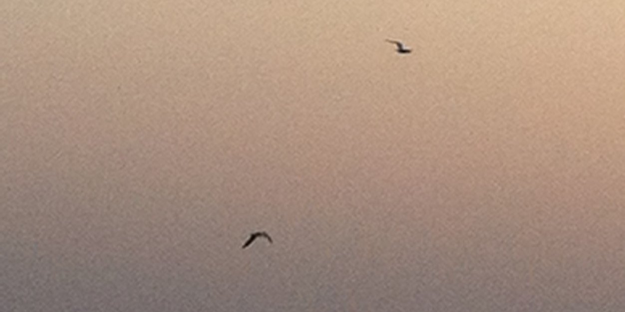 hamidalmuwallad's profile banner image