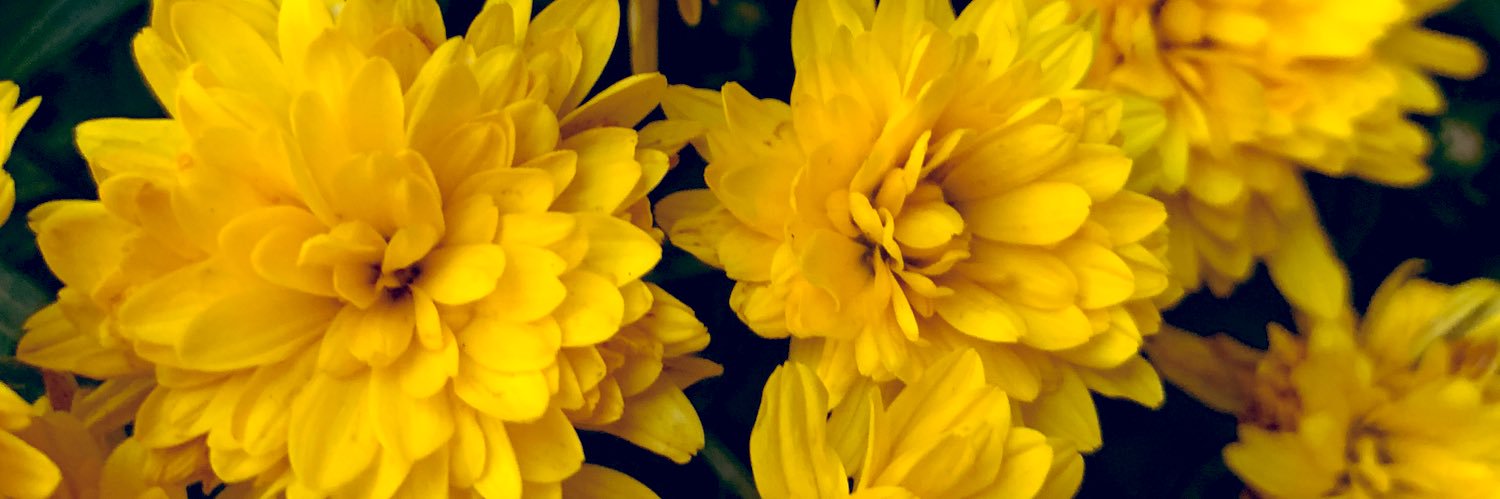 al_rang_'s profile banner image