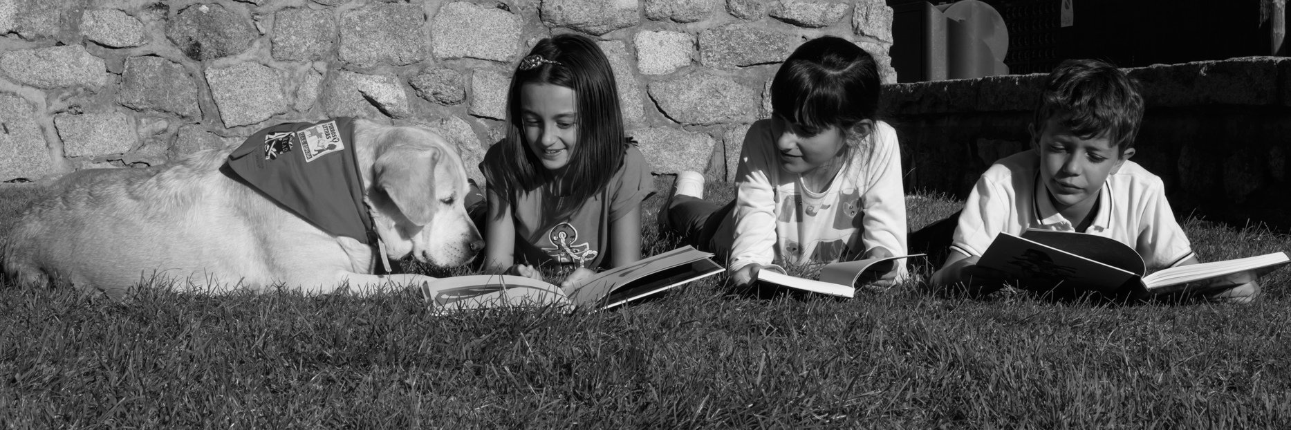 PERROS Y LETRAS banner